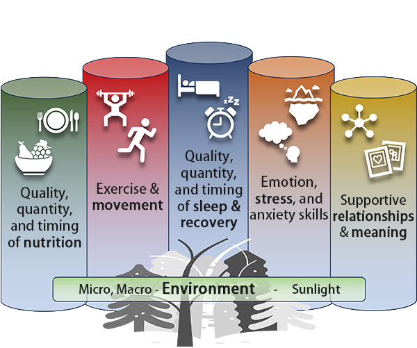Primary Prevention's Five Pillars of Healthspan: Nutrition, Movement, Sleep, Emotion, and Meaning supported by Micro and Macro environment