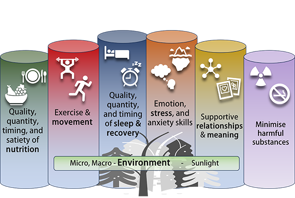 Primary Prevention's Pillars of Healthspan: Nutrition, Movement, Sleep, Emotion, and Meaning, plus minimising harmful substances supported by Micro and Macro environment